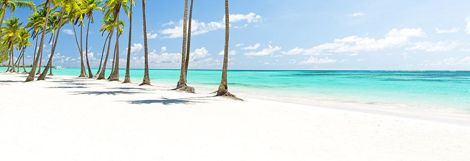 Billedet viser en tropisk strand med hvide sand, klare turkisfarvet vand og høje palmer under en blå himmel.