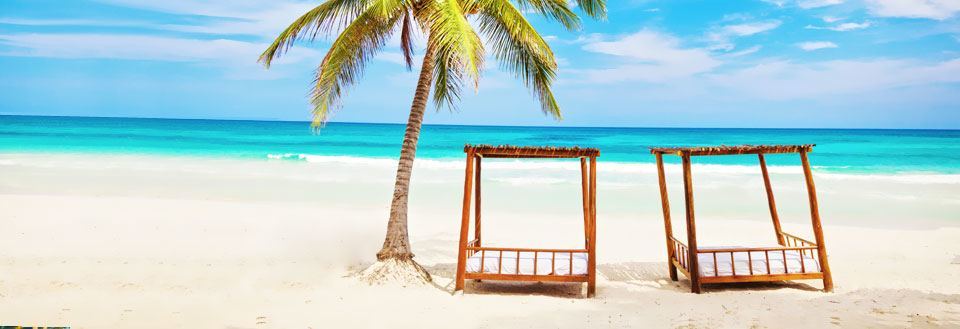 Tropisk strand med klart blåt vand og to træhængekøjer under en palme.