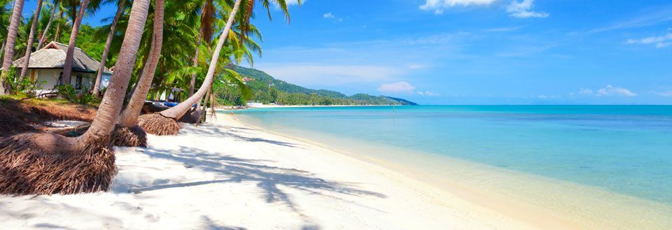 Idyllisk strand med palmer, hvidt sand og krystalklart hav mod blå himmel.