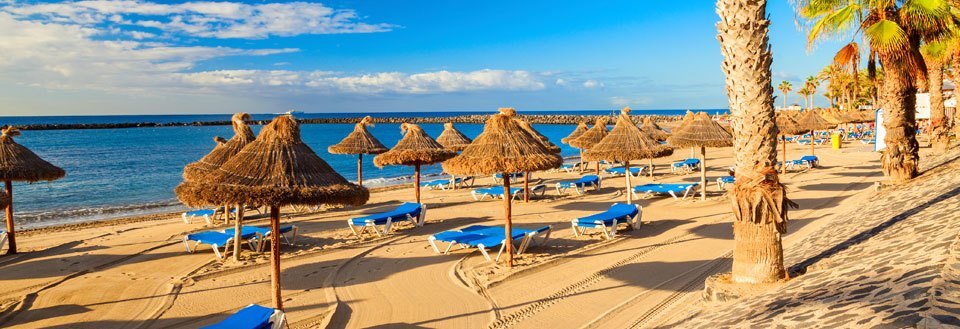 En solrig strandlinje med parasoller, liggestole, palmer og en rolig blå himmel.