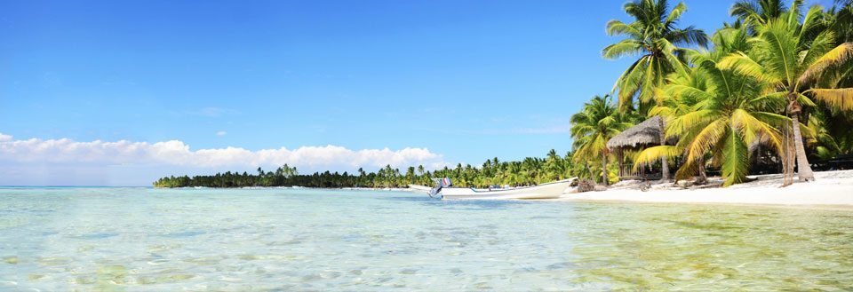 Tropisk strand med klart vand, palmetræer og en strandhytte under en blå himmel.